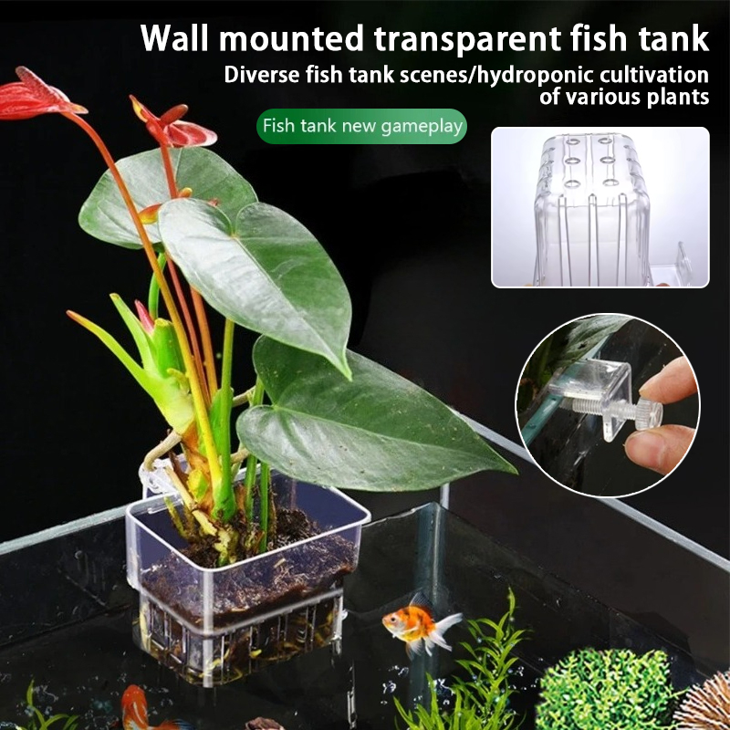 Hanging Planter Basket - Aquarium Hanging Planter Cups Wall Mounted