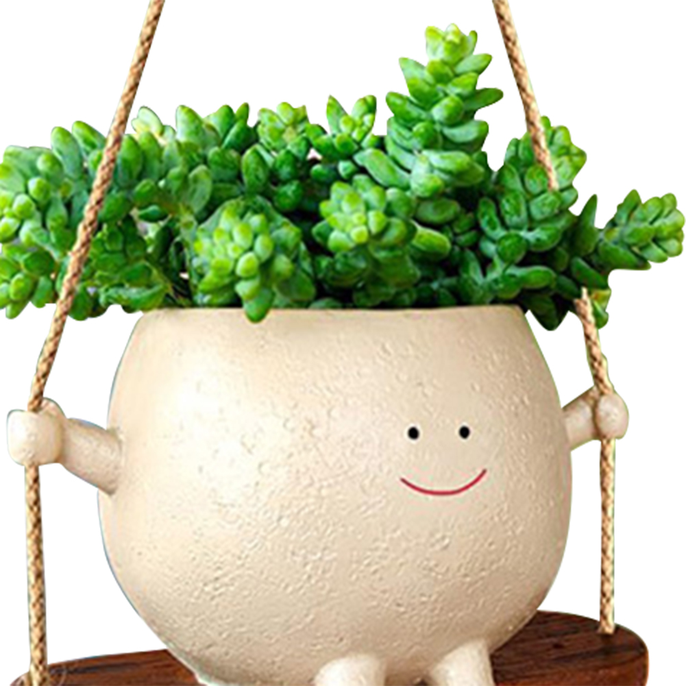 Plant Hanger Baskets Lovely Sw - Hanging Planter Basket 评论和价格