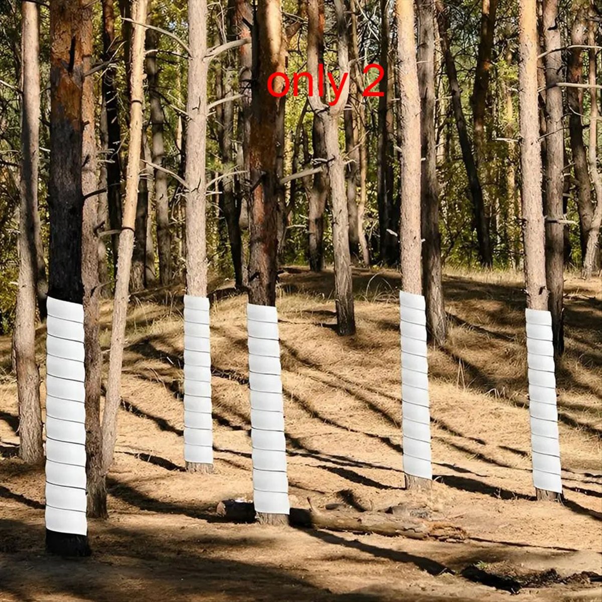 A75K Plant Tree Trunk Protecto - Gardening Hand Tools B&Q 评论和价格