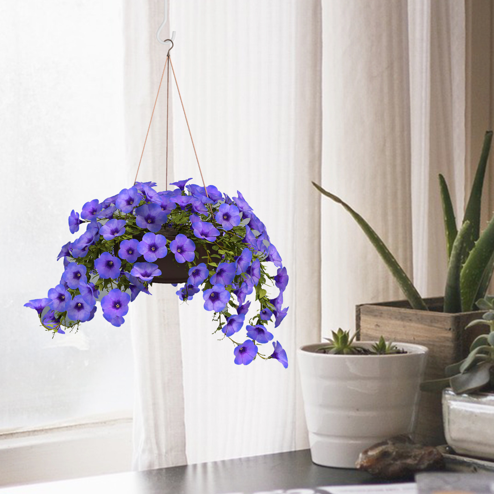 2Sets Ceiling Hooks for Hangin - Hanging Planter Basket 评论和价格