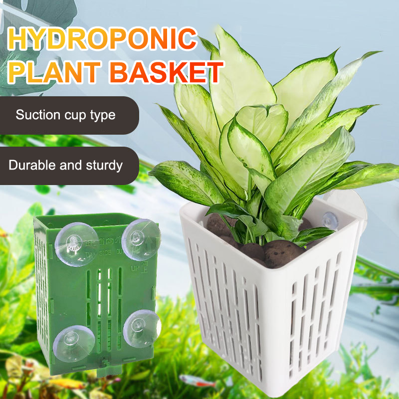 Hanging Suction Cup Hook Aquar - Hanging Planter Basket 评论和价格