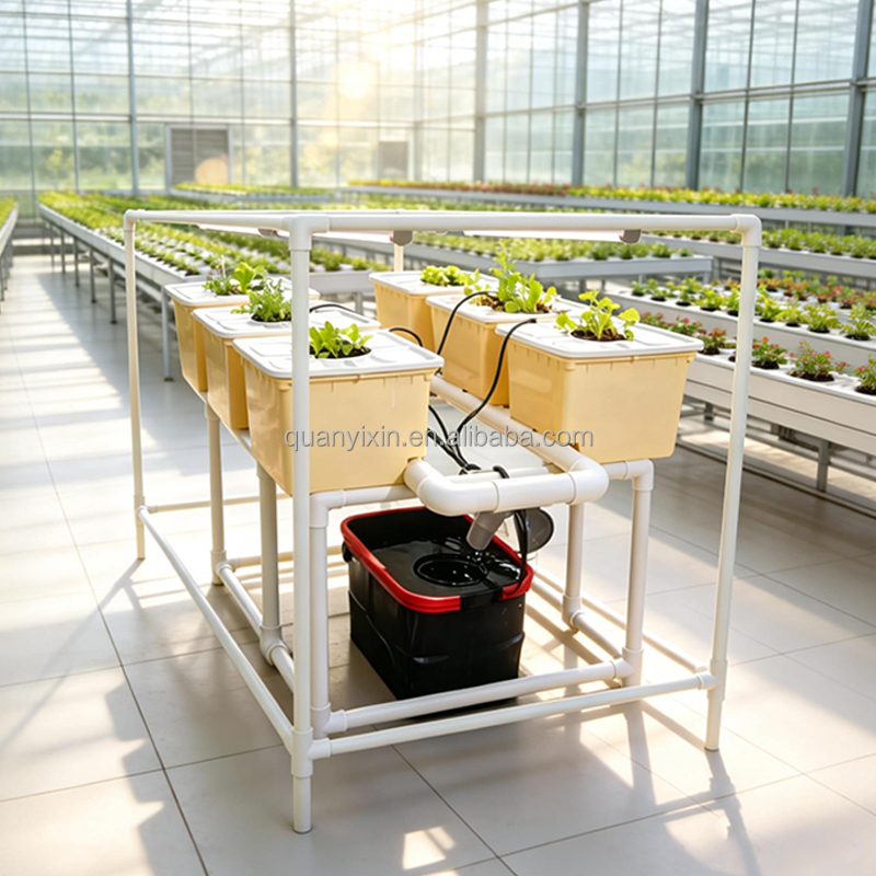 Dutch Bucket Hydroponic System - Drip Irrigation Kit 评论和价格