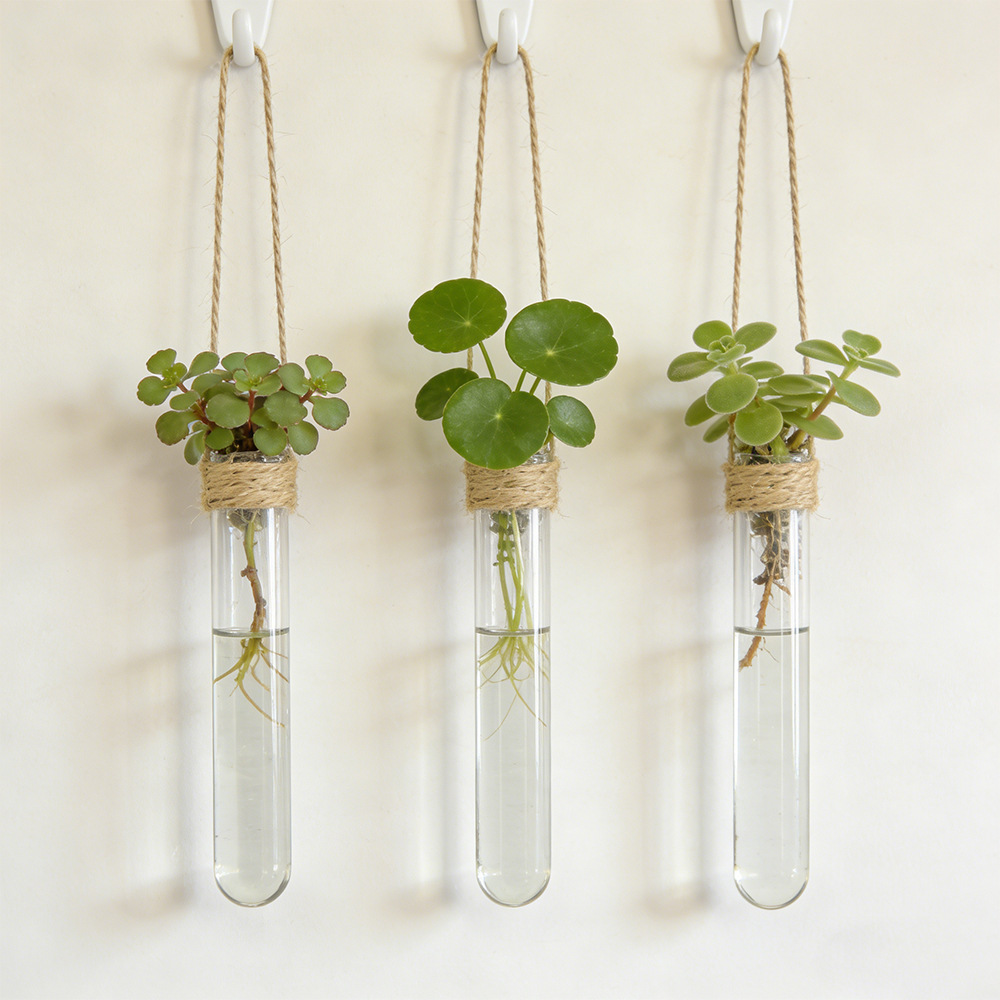 Hydroponic Flower Vase Wall-Mo - Hanging Planter Basket 评论和价格