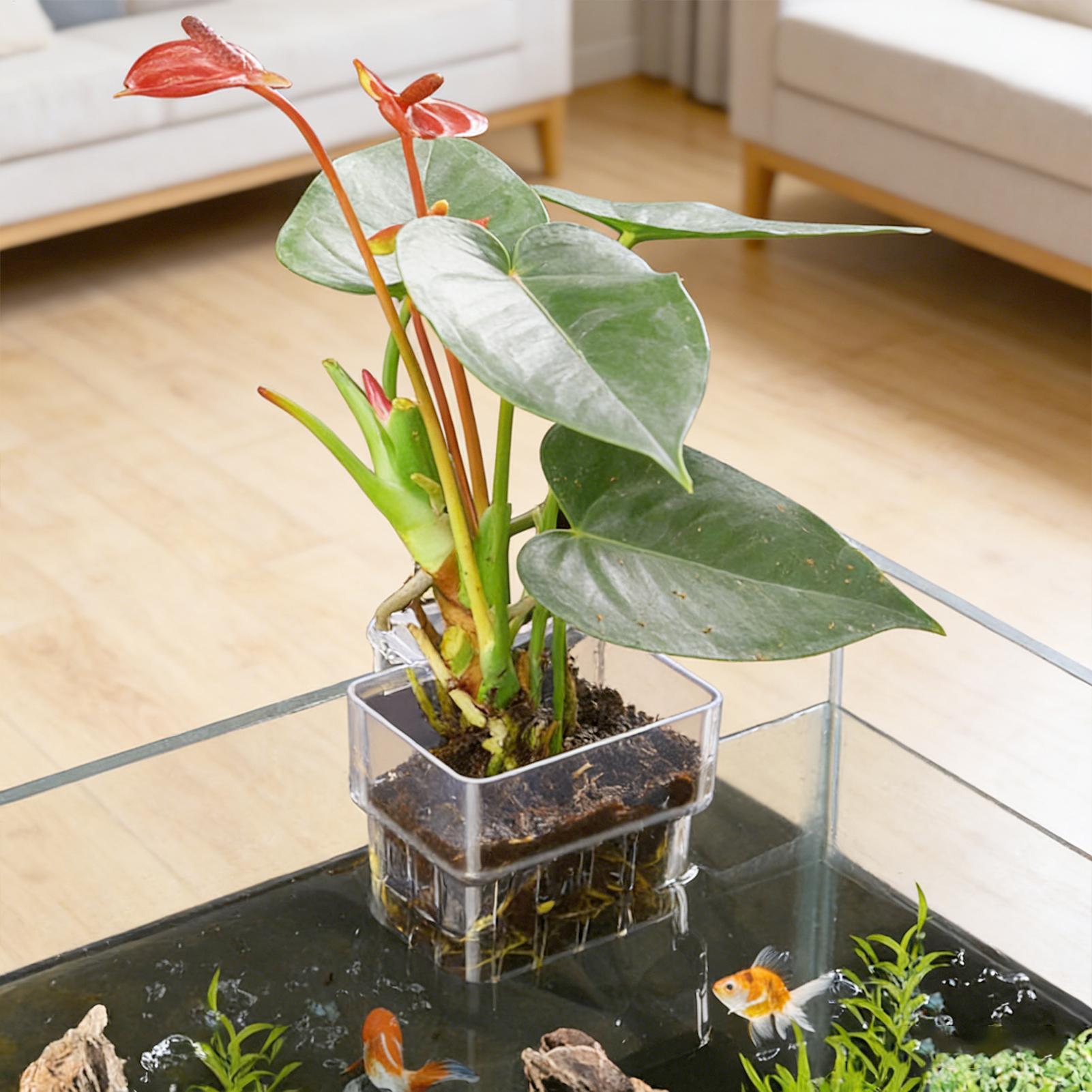 Aquarium Plant Basket Transpar - Hanging Planter Basket 评论和价格