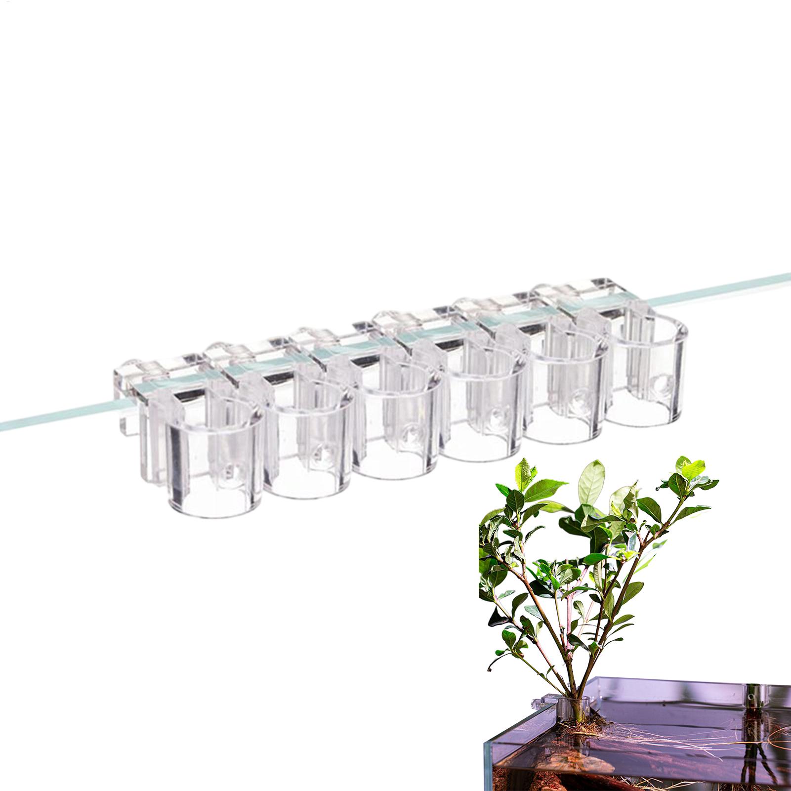 Aquarium Plant Basket Transpar - Hanging Planter Basket 评论和价格