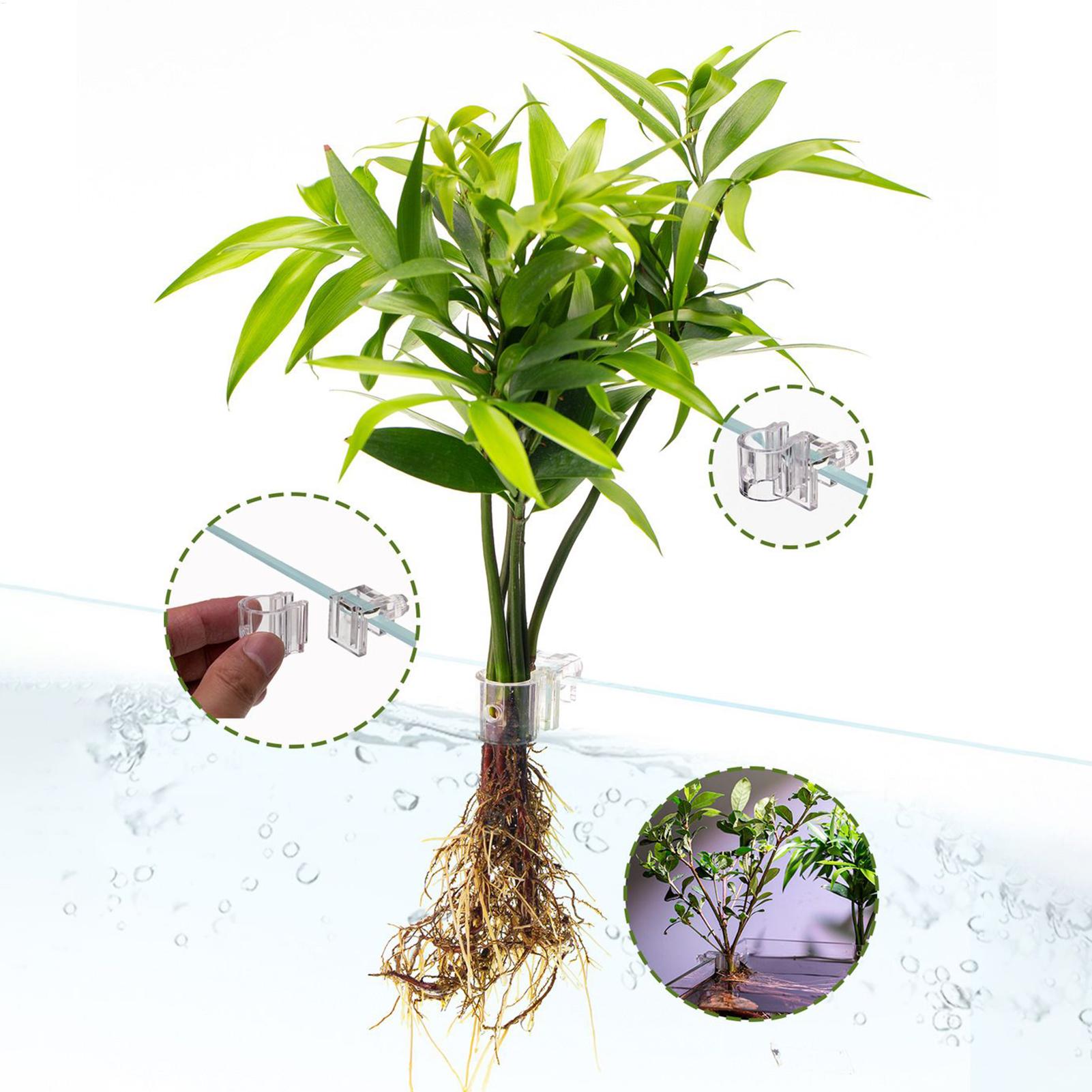 Aquarium Plant Basket Transpar - Hanging Planter Basket 评论和价格