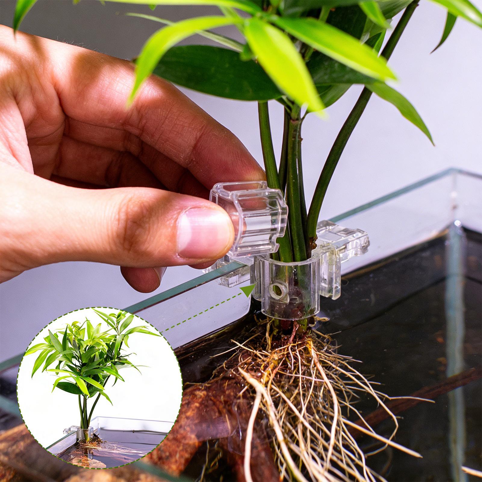 Aquarium Plant Basket Transpar - Hanging Planter Basket 评论和价格