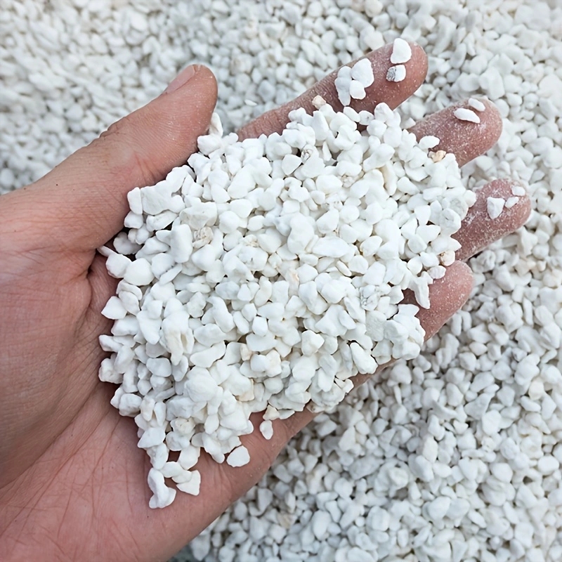 1 Pack of 3-6mm Horticultural  - Horticulture Soil Perlite 评论和价格