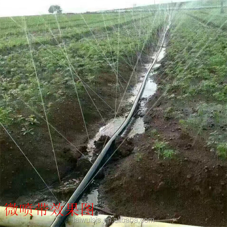 16mm PE Drip Tape Irrigation K - Drip Irrigation Kit 评论和价格
