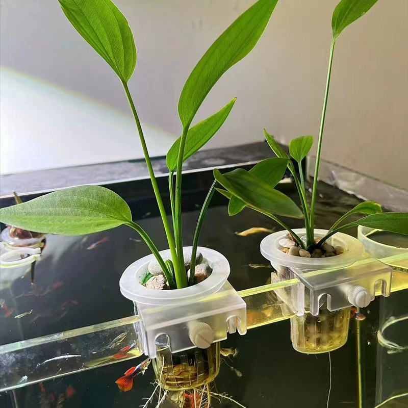Aquarium Planting Basket Hydro - Hanging Planter Basket 评论和价格