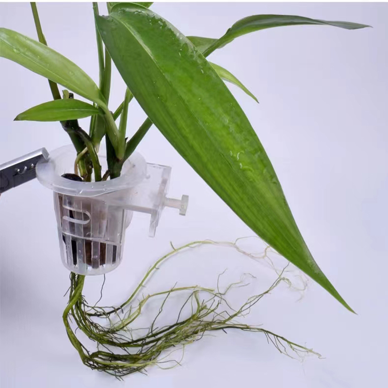 Aquarium Planting Basket Hydro - Hanging Planter Basket 评论和价格